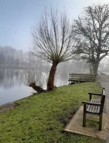 Needham lake