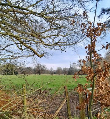 thornham walks