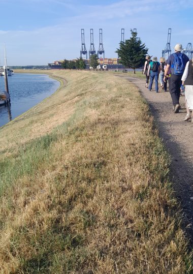 shotley