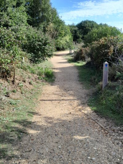 Lackford Lakes