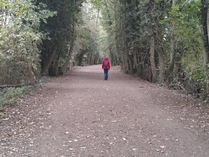 Sudbury Valley Walk