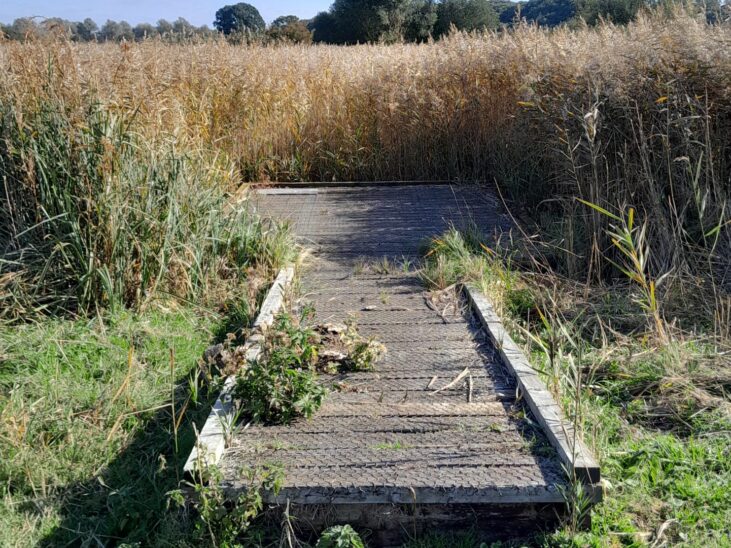 Redgrave and Lopham Fen
