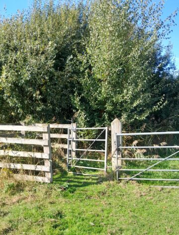 Redgrave and Lopham Fen