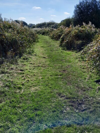 Redgrave and Lopham Fen