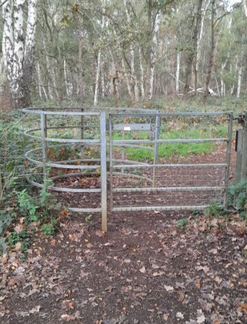 Cavenham Heath