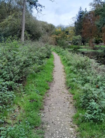 Mildenhall Riverside