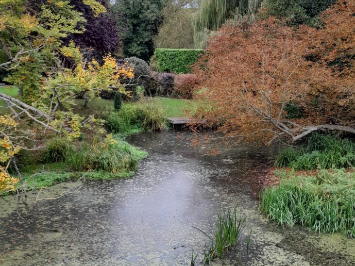 Mildenhall Riverside