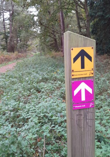 Rendlesham