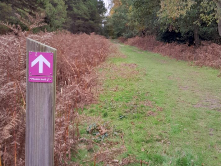 Rendlesham