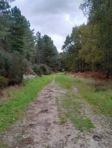 Rendlesham