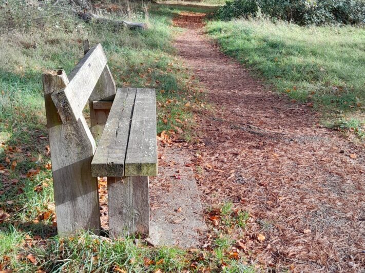 Santon Downham
