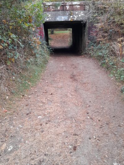 Santon Downham