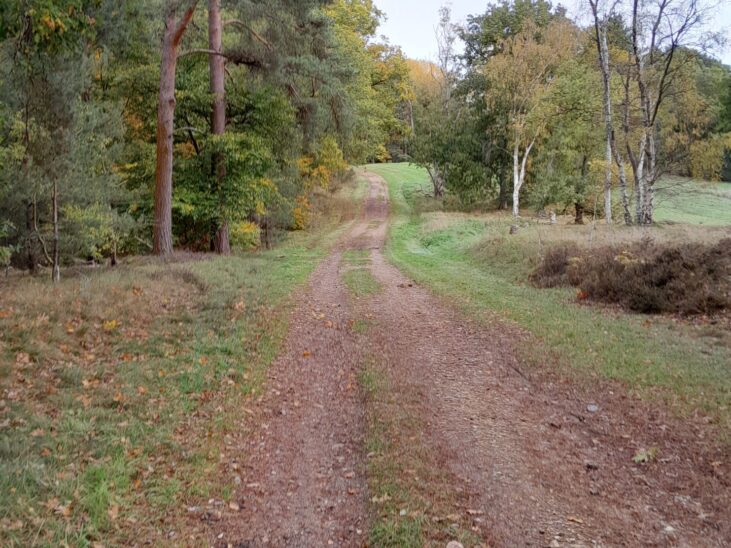 Santon Downham