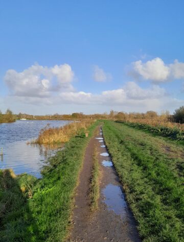 Beccles Marsh