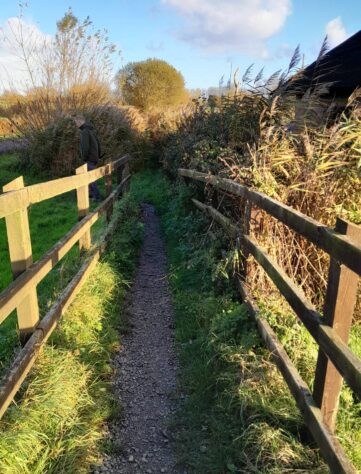 Beccles Marsh