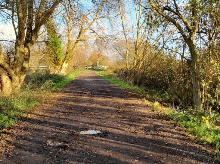 Beccles Marsh