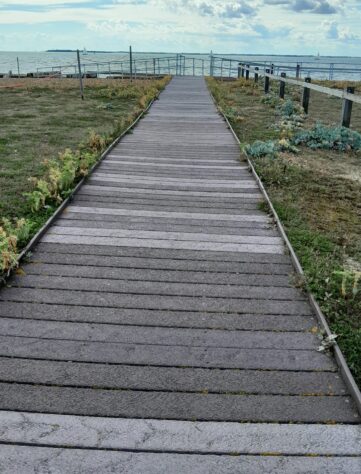 Landguard Boardwalk on the shingle beach 1