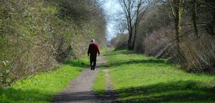 Clare Country Park-4 person walking along a grassy track between rows of trees and bushes at Clare Castle Country Park on a sunny day