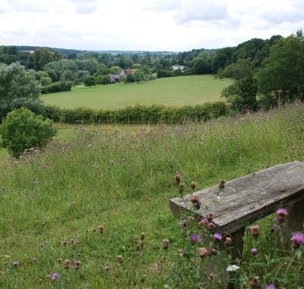 Coddenham - Take in the View