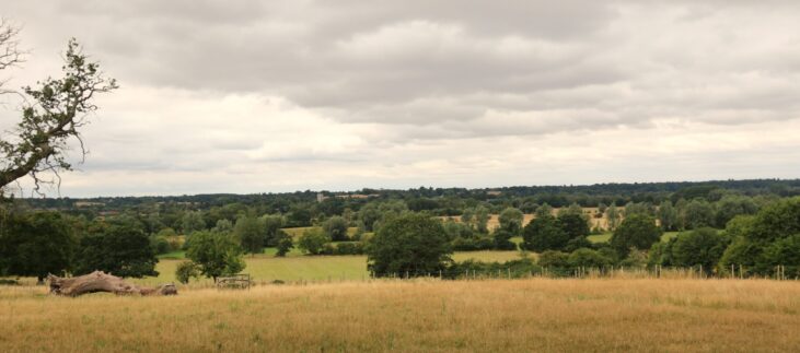 Constable 3