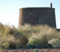 a Martello Tower with beach and long grass in the foreground, at Felixstowe beach