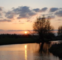 a golden and purple sunset reflected in the river at Flatford with trees silhouetted against the beautiful sky