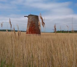 A former red brick wind pump standing proud amongst the straw-coloured reeds on a sunny day at Westwood Marshes