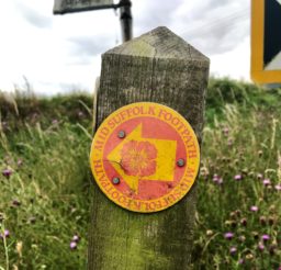 a red and yellow Mid Suffolk Footpath waymarker disc on an old wooden post in amongst grass and thistles
