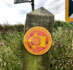 a red and yellow Mid Suffolk Footpath waymarker disc on an old wooden post in amongst grass and thistles a red and yellow Mid Suffolk Footpath waymarker disc on an old wooden post in amongst grass and thistles