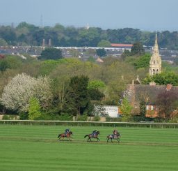a view of three horses and jockeys on the Gallops at Newmarket, with a church spire and the roofs of houses in the background