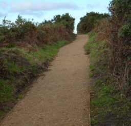 a wide footpath along the Sailors' Path, with hedging on both sides on a sunny day