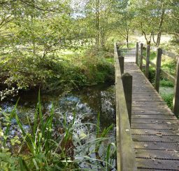 a wooden footbridge in amongst trees over a small river along the Sailors' Path