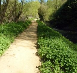 footpath next to the River Lark on a sunny day