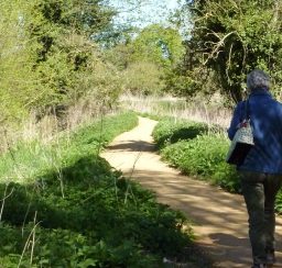 people walking along the footpath next to the River Lark on a sunny day