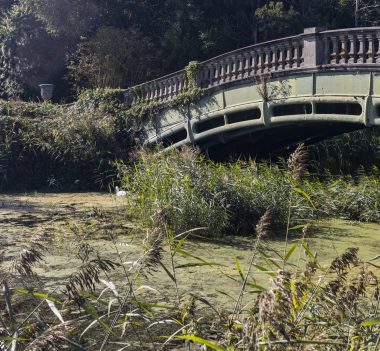 Iron Bridge at Culford