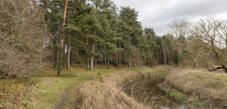The River Lark at West Stow