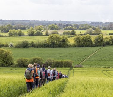 Suffolk Walking Festival 2023 - Stour Valley Suffolk Walking Festival 2023 - Stour Valley