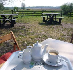 Pot of tea set out on a table with picnic benches in the background