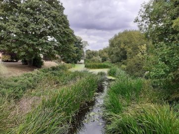 Gipping Riverside path 4