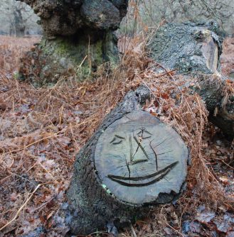 a smiley face carved onto the end of a fallen tree in amongst some bracken