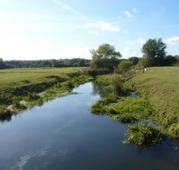 a small river running through green Sudbury Meadows, with lots of trees in the background
