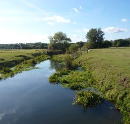 a small river running through green Sudbury Meadows, with lots of trees in the background
