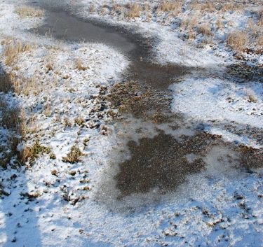Walberswick (29) an icy puddle on a cold winter's day