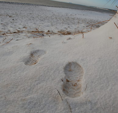 footprints in the snow on Walberswick Beach