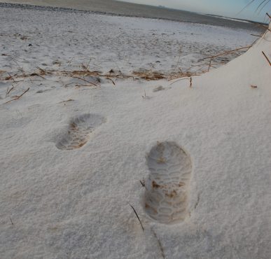 Walberswick (4) footprints in the snow on Walberswick Beach
