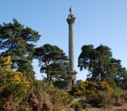 The Elveden Monument with golden flowering gorse bushes and tall trees on Weather Heath
