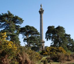 Weather Heath-4 The Elveden Monument with golden flowering gorse bushes and tall trees on Weather Heath