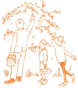 cartoon family picking wild blackberries FUN and FABULOUS seasonal activities