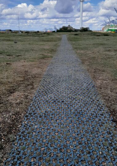 Landguard firm path