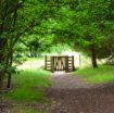 path with a wooden gate under a canopy of green trees into West Stow Country Park